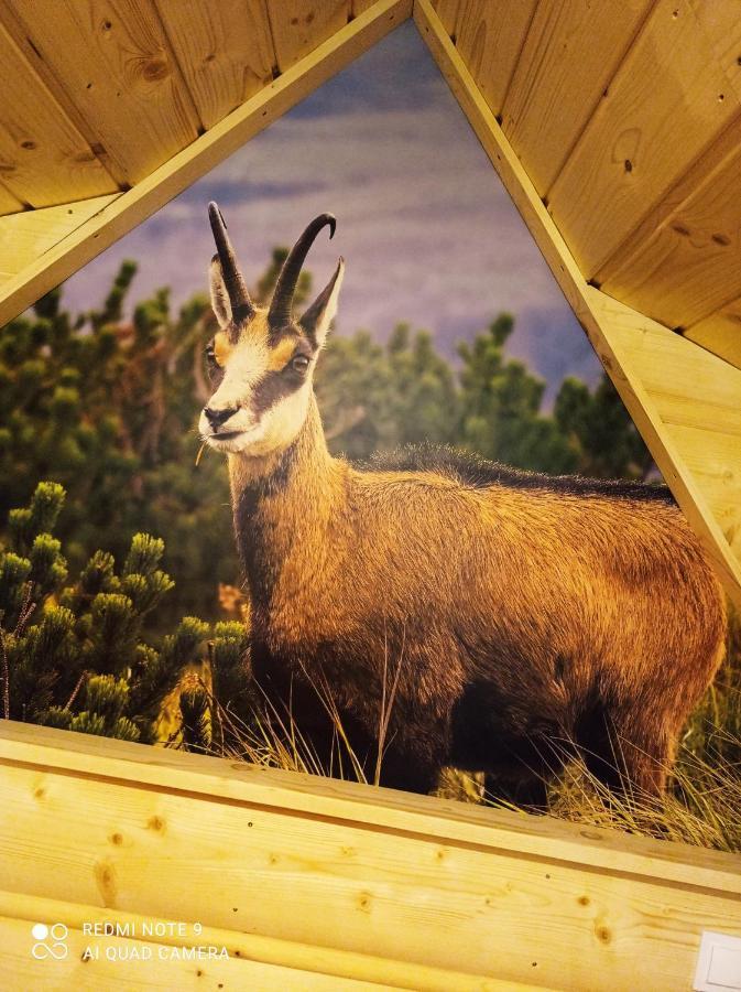 Noclegi U Gabrysi Kościelisko Exteriér fotografie